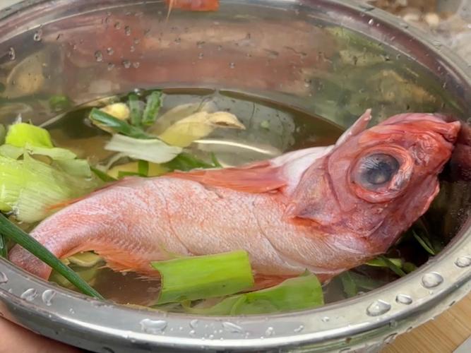 清蒸大眼鱼